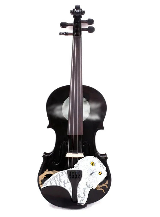 Mystic Owl Viola Outfit - Rozanna's Violins