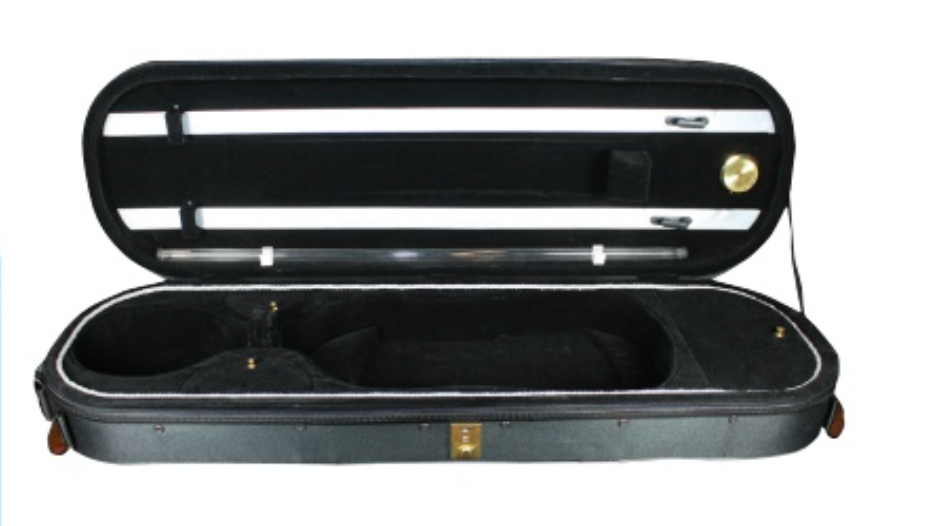 Rozanna's Lumina Artist Violin Outfit (Rainbow Tailpiece) - Rozanna's Violins