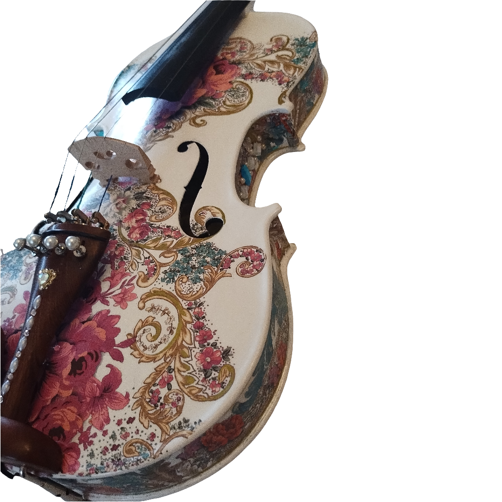 Gilded Age Violin w Matching Carbon Fiber Bow Case Crystal Fine Tuners Rosin Strings Set Up, perfect for multi-style play.