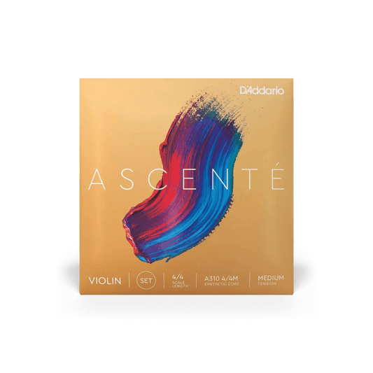 Violin - Ascente Strings - Rozanna's Violins