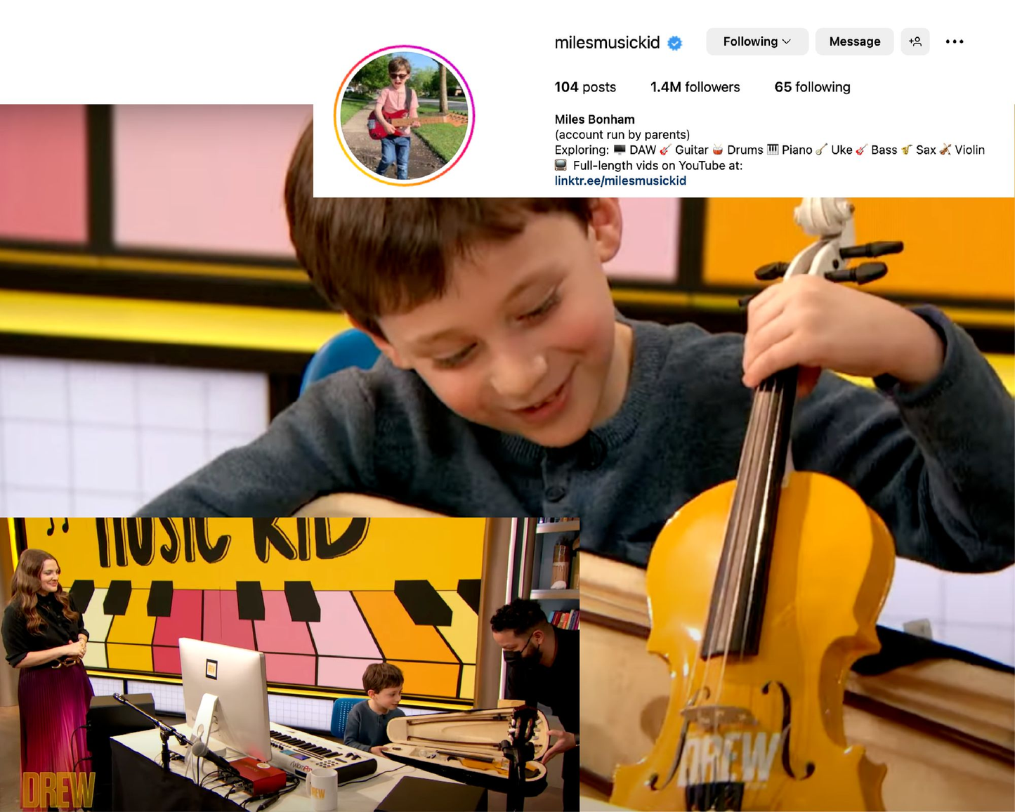 Customized 'Made to Order' Violin - Rozanna's Violins