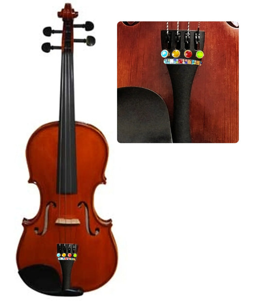 Lumina Student Violin Outfit (4 Color Fine Tuner Learning Aid) - Rozanna's Violins