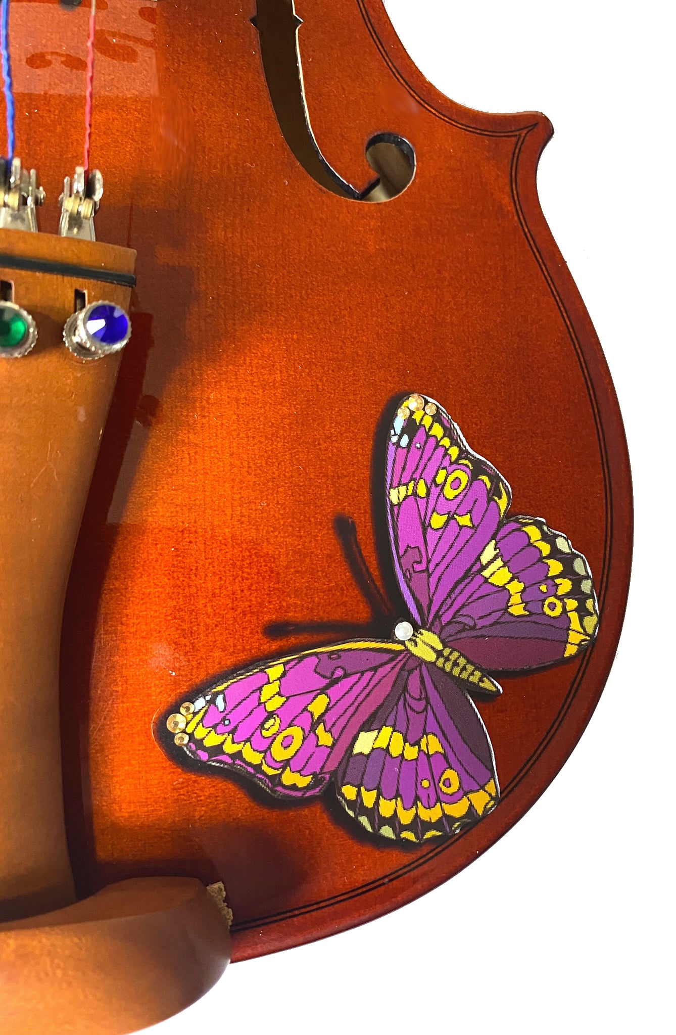 Butterfly Dream Bejeweled Violin Outfit - Rozanna's Violins