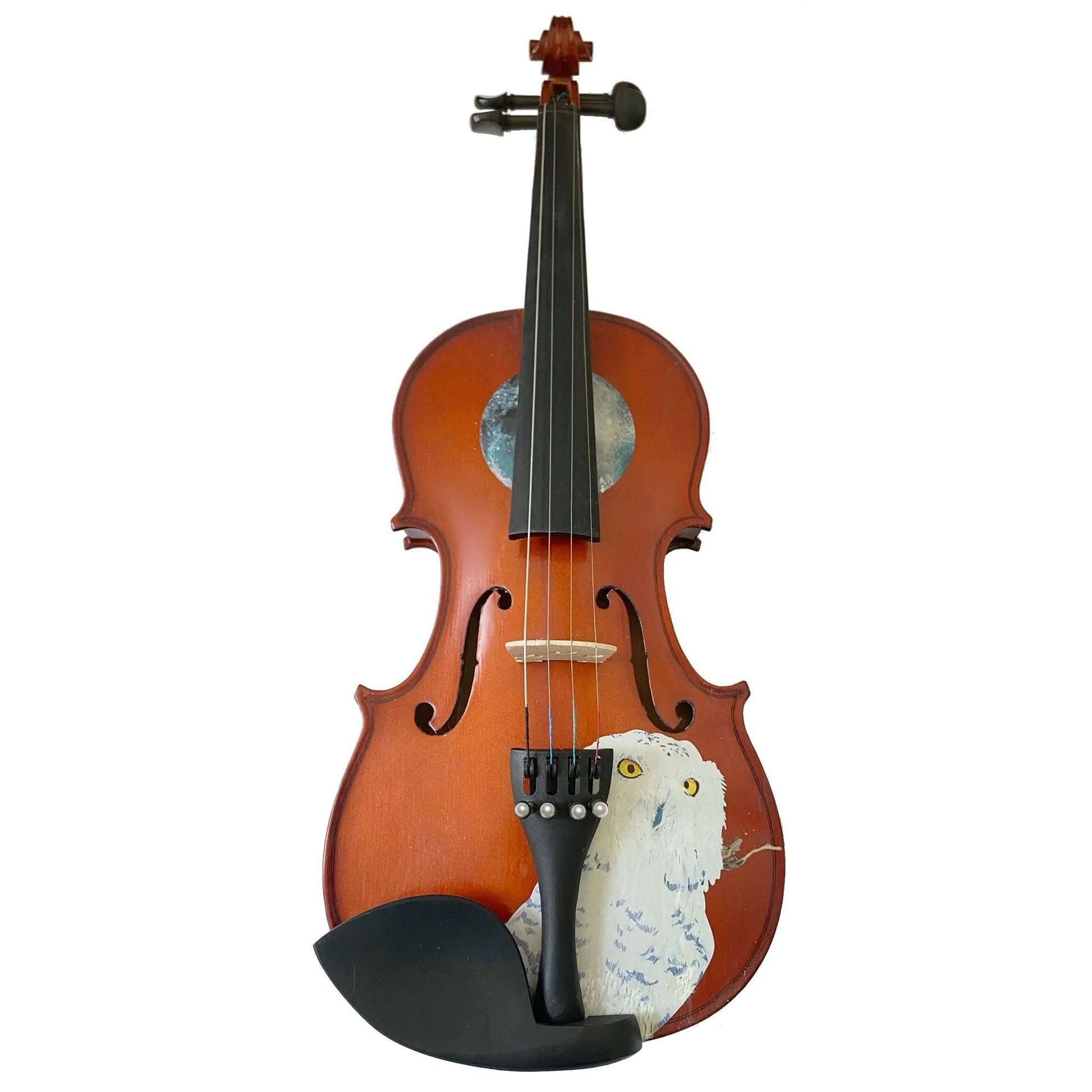 Rozanna's Violins Mystic Owl  Violin Outfit - Rozanna's Violins