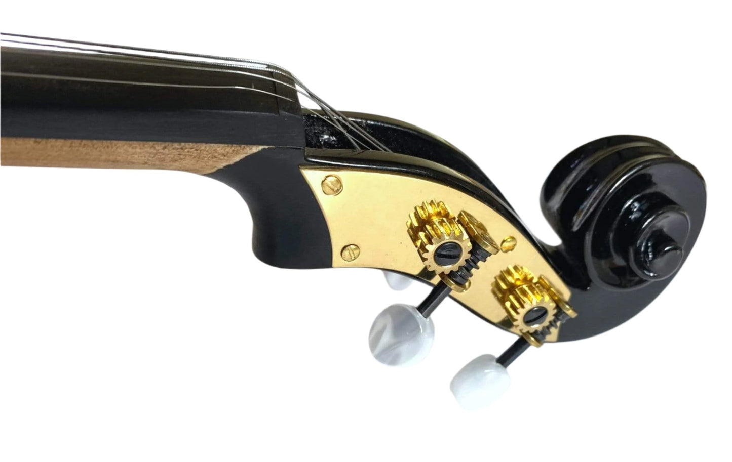 Rozanna's Violins Wrap Electro Acoustic Violin - NEW For 2021!