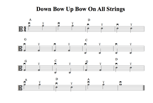 Viola Bow Stroke: Elbow Height, Arm Weight - Rozanna's Violins