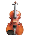 Lumina Artist Violin Outfit (Tuxedo II) - Rozanna's Violins