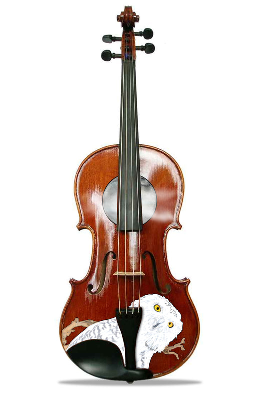 Mystic Owl Viola Outfit - Rozanna's Violins