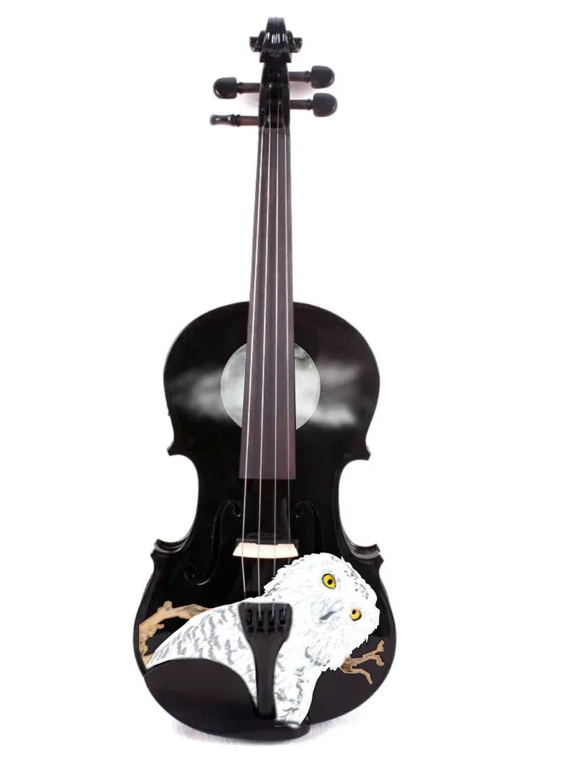 Mystic Owl Viola Outfit - Rozanna's Violins