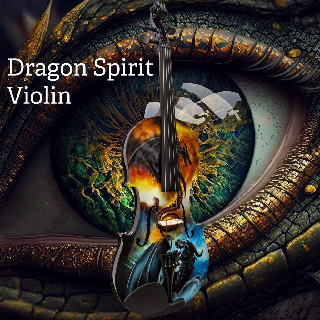 Dragon Black 1/2 Violin Outfit - Rozanna's Violins