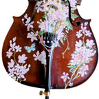 Cherry Blossom Cello Outfit | Pearl Fine Tuners & Brazilwood Bow - Rozanna's Violins