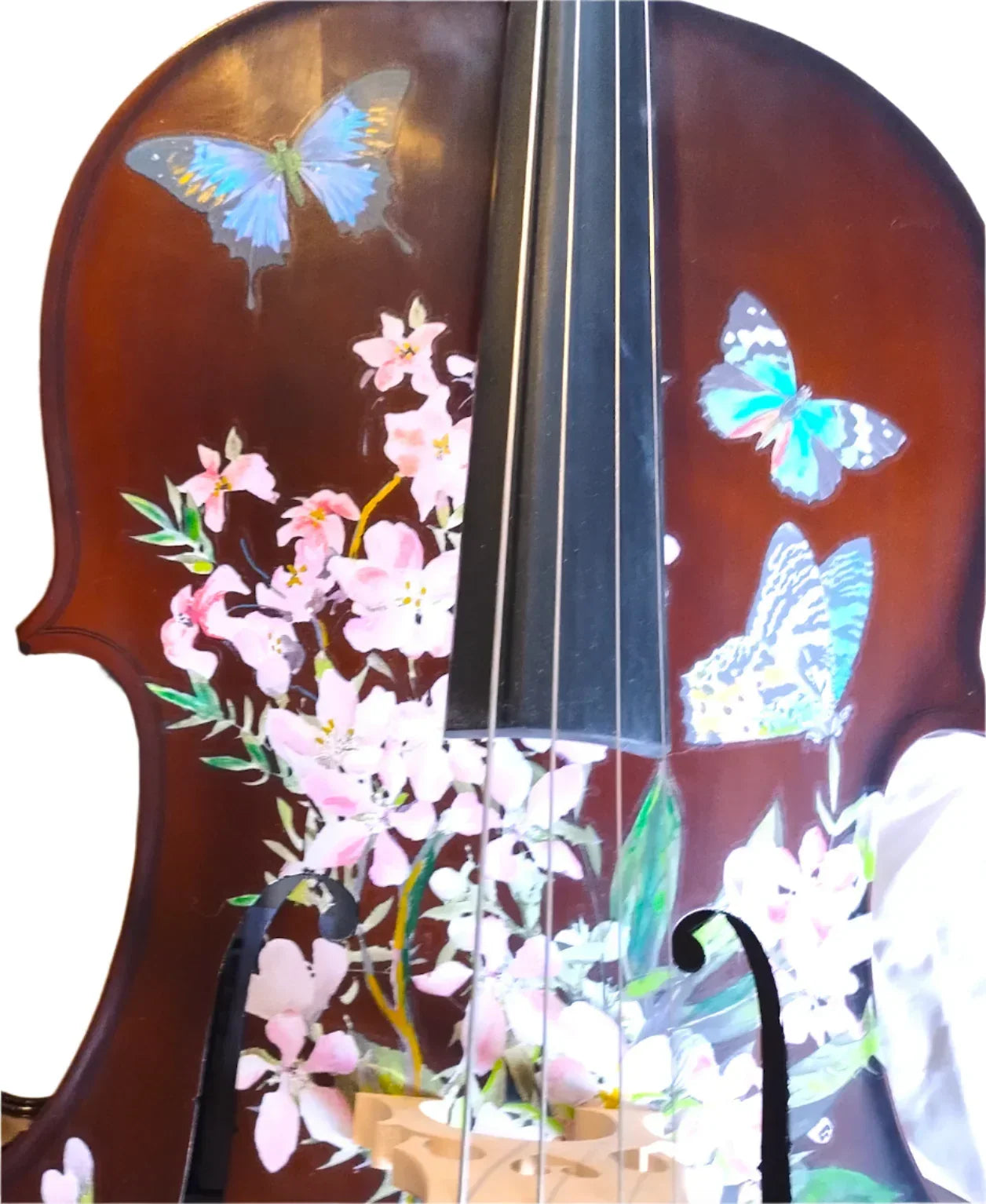 Cherry Blossom Cello Outfit | Pearl Fine Tuners & Brazilwood Bow - Rozanna's Violins