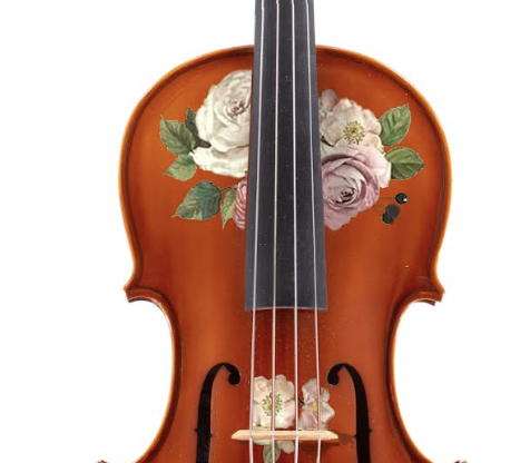 Rozanna's Rose Natural Wood Violin Outfit | Pearl Fine Tuners & Brazilwood Bow