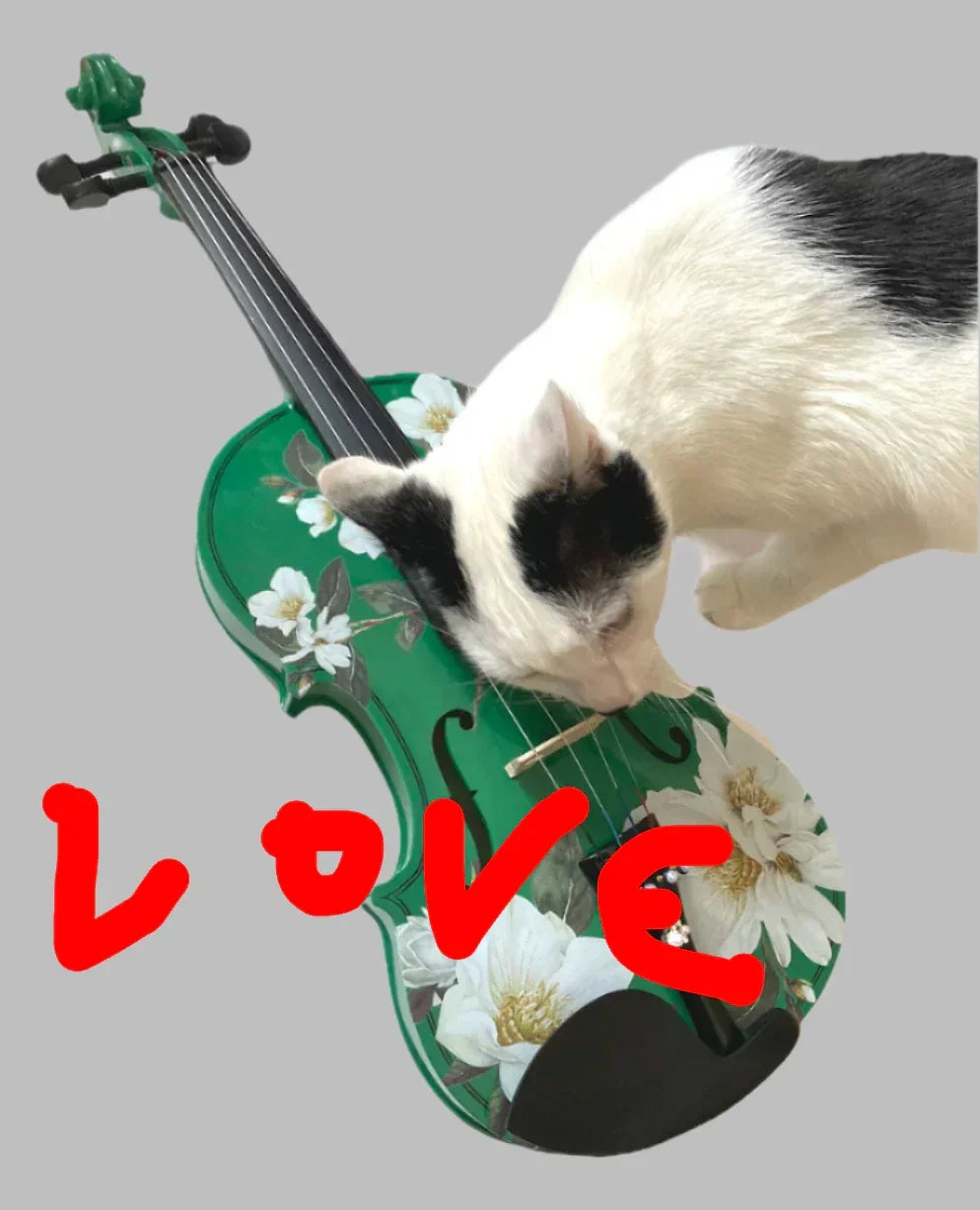 Magnolia Heaven Emerald Green Violin Outfit | Pearl Fine Tuners & Brazilwood Bow - Rozanna's Violins