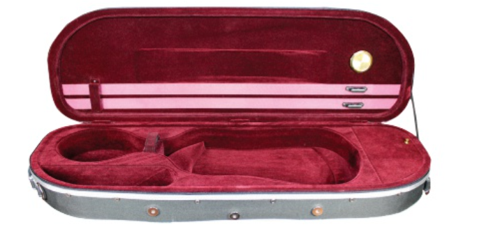 Rozanna's Lumina Artist Violin Outfit (Rainbow Tailpiece) - Rozanna's Violins