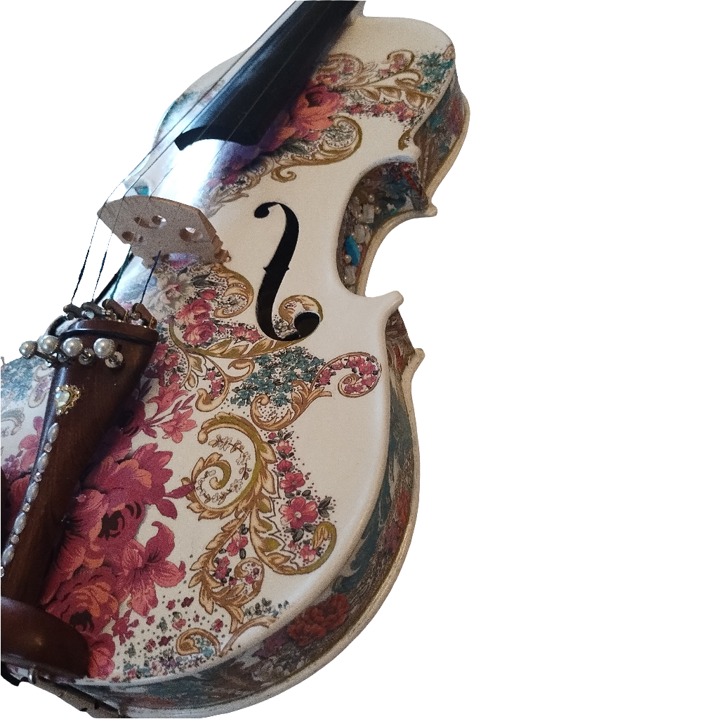 Gilded Age Violin w Matching Carbon Fiber Bow Case Crystal Fine Tuners Rosin Strings Set Up - Rozanna's Violins