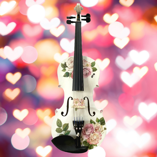 Rose Delight 1/4 Violin Outfit SUPER SAVINGS