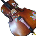 Butterfly Dream Deluxe Cello Outfit | Crystal Tailpiece & Brazilwood Bow - Rozanna's Violins