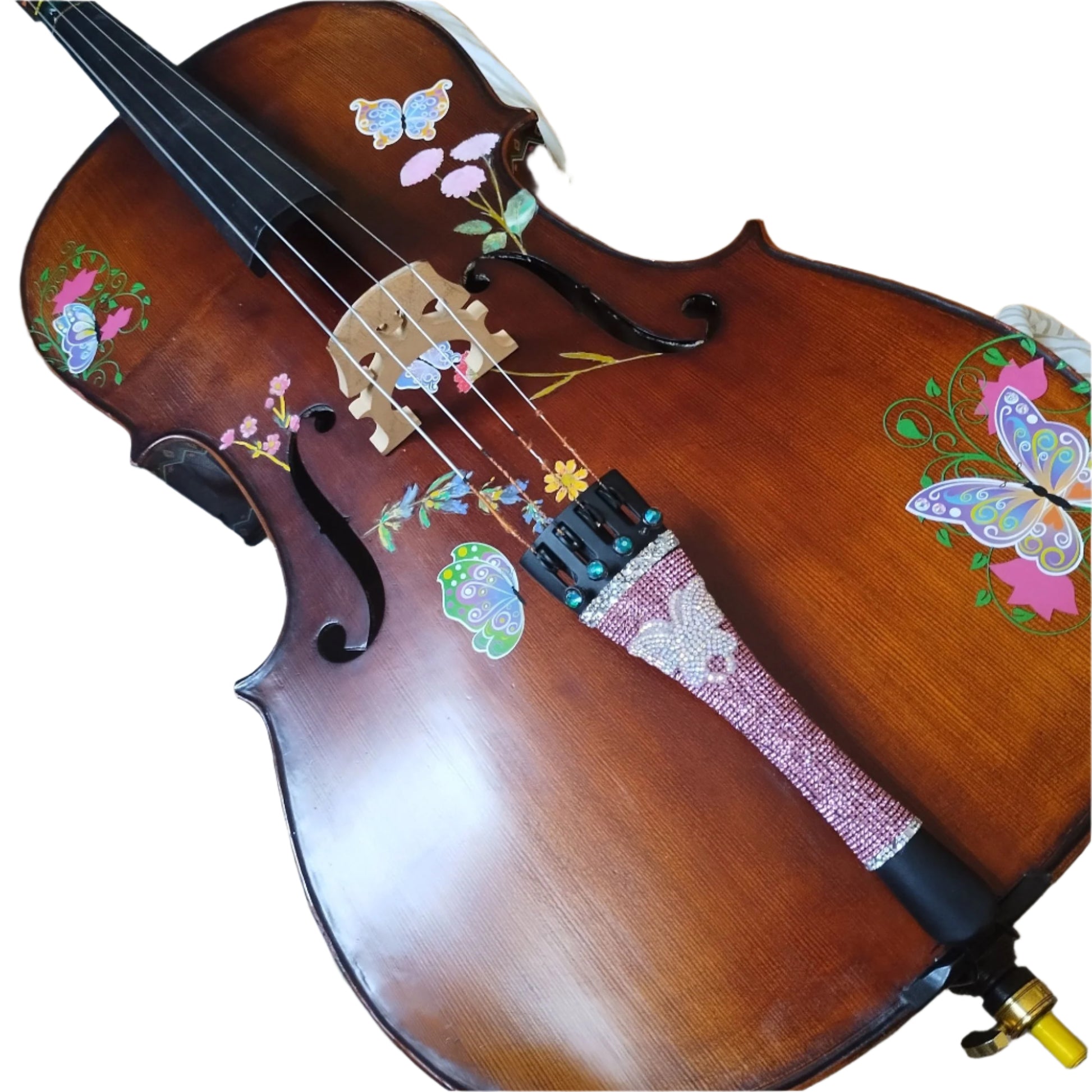 Butterfly Dream Deluxe Cello Outfit - Rozanna's Violins