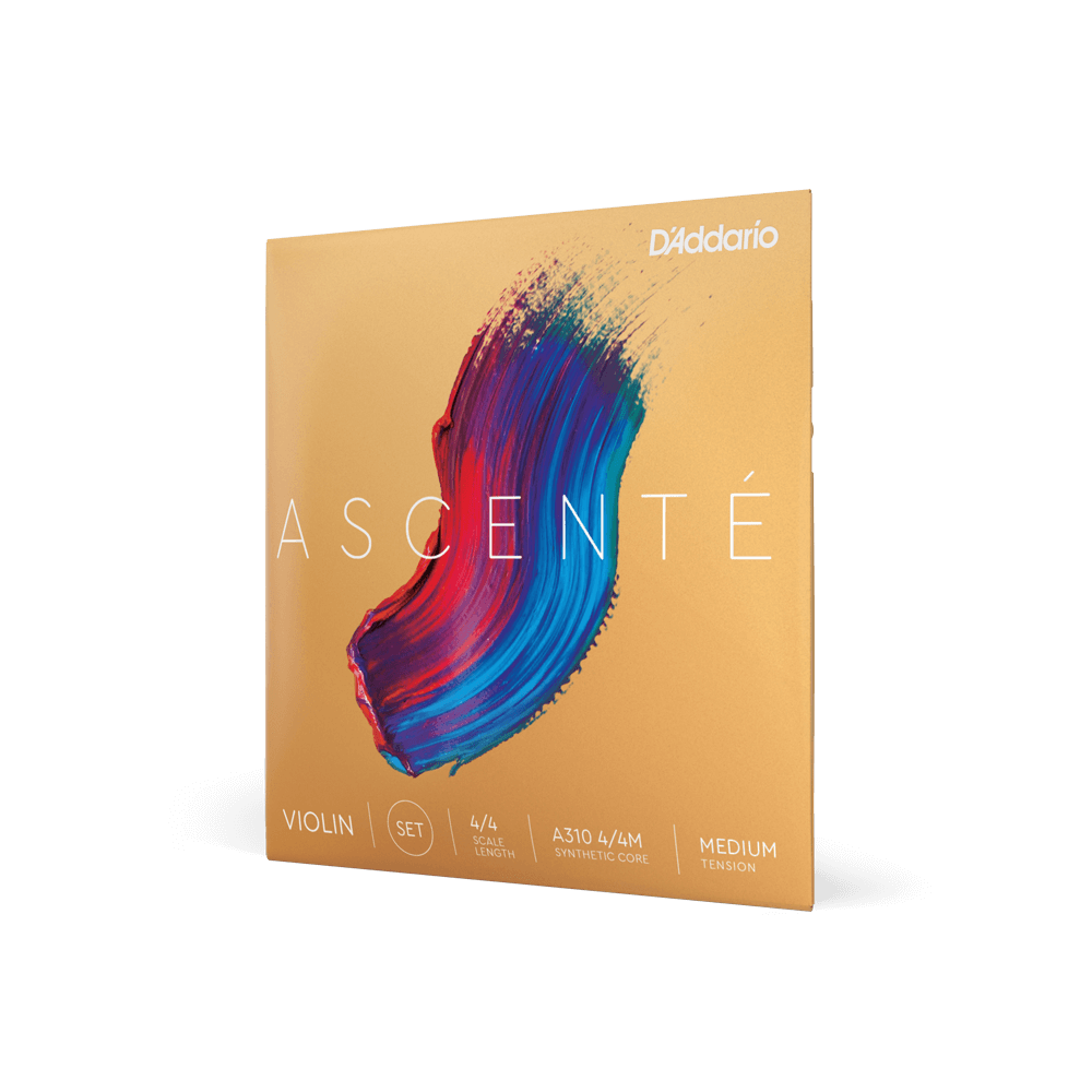 Violin - Ascente Strings
