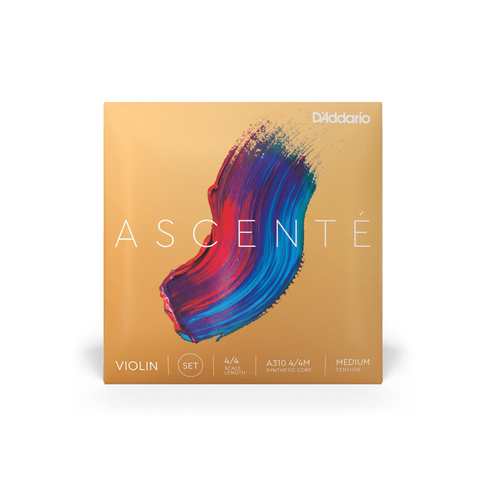Violin - Ascente Strings