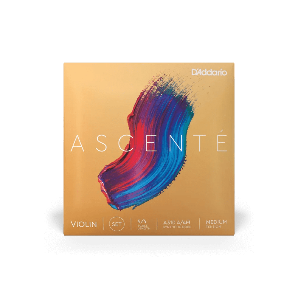 Violin - Ascente Strings - Rozanna's Violins