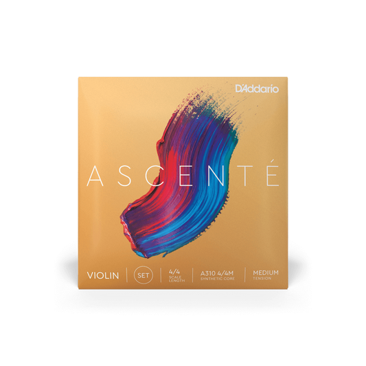 Violin - Ascente Strings