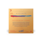 Violin - Ascente Strings - Rozanna's Violins