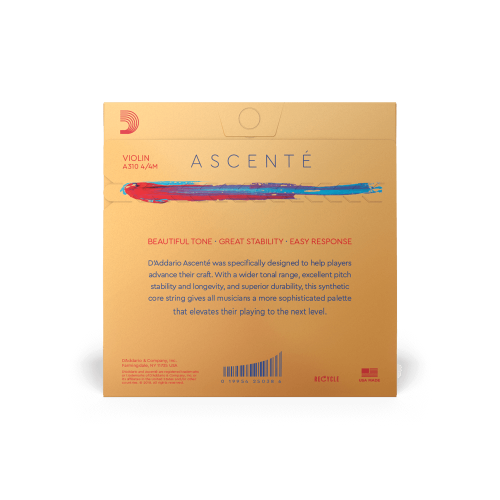 Violin - Ascente Strings