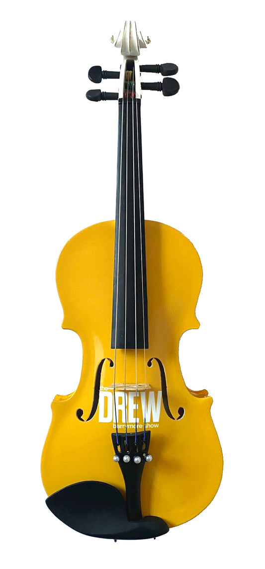 Custom Electric Acoustic Violin