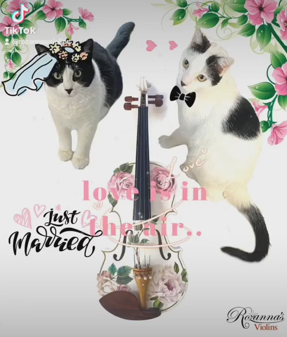 Rozanna's Rose Delight II Violin Outfit | Pearl Fine Tuners & Brazilwood Bow