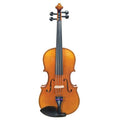 Lumina Student Viola Outfit – Skeleton Hand - Rozanna's Violins