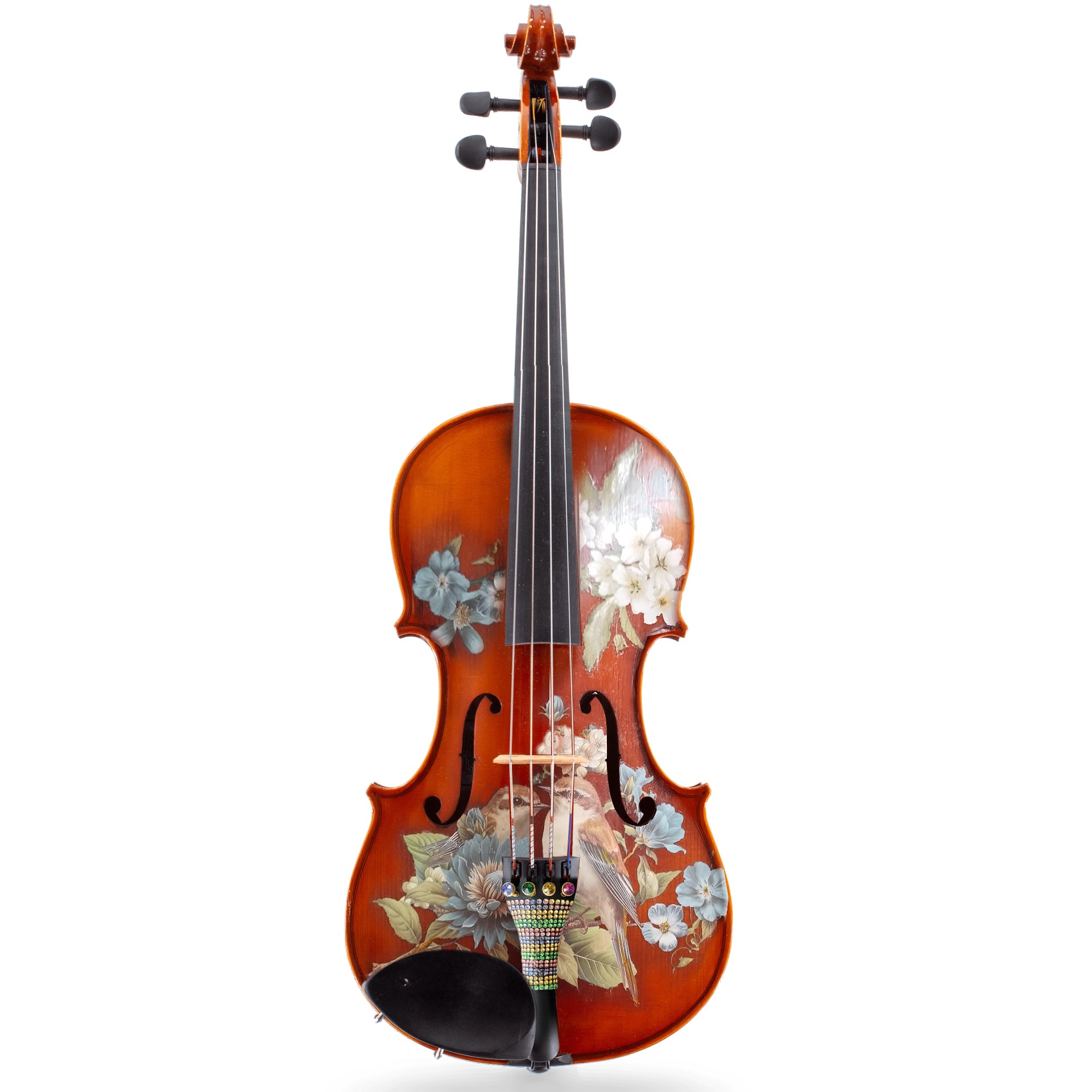 Song Bird Viola Outfit | Robin Egg Blue Pearl Tuners & Brazilwood Bow