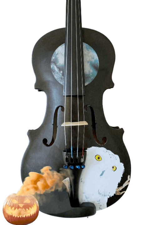 Rozanna's Mystic Owl Midnight Black Glitter Violin - Rozanna's Violins