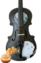 9678DA78-1837-4D68-8918-42C2C4E37667-34081-00000B8D65C934BB - Rozanna's Violins