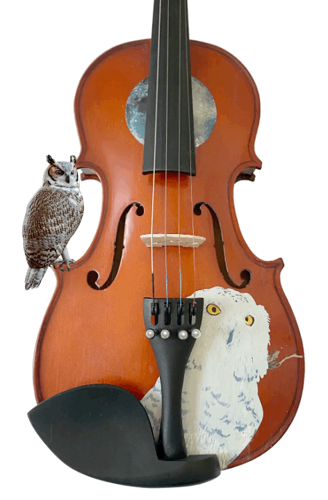 Rozanna's Violins Mystic Owl  Violin Outfit - Rozanna's Violins