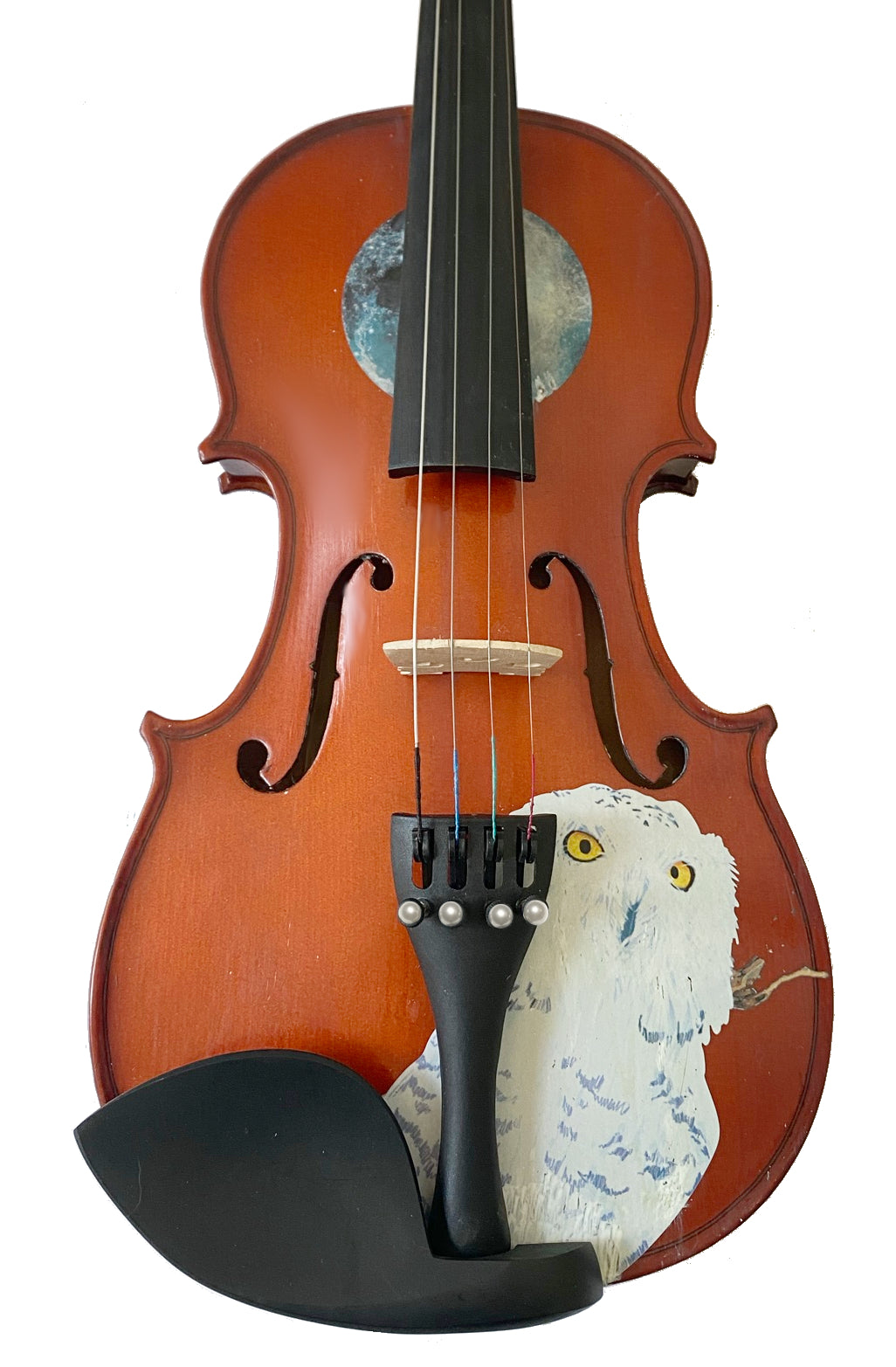 Rozanna's Violins Mystic Owl  Violin Outfit