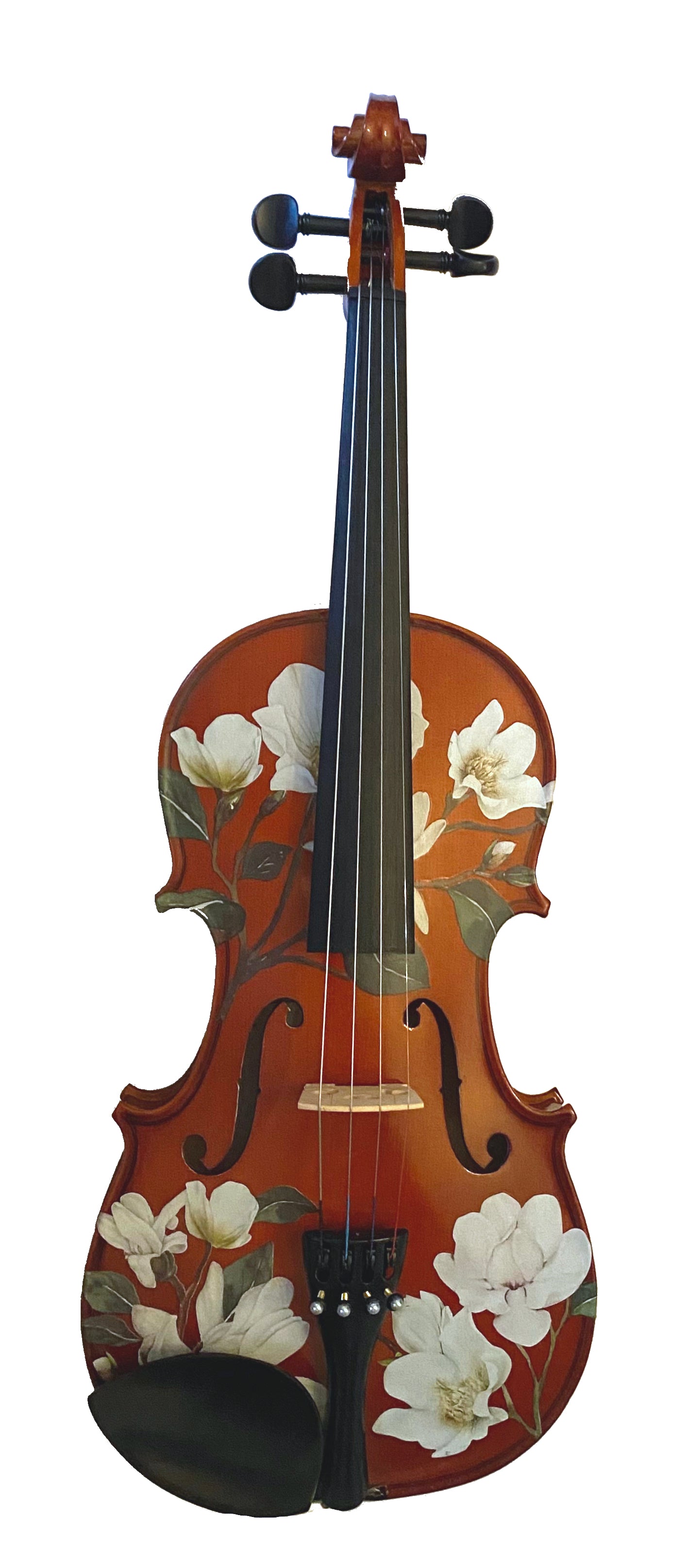 Magnolia Heaven Natural Wood Violin Outfit - Rozanna's Violins
