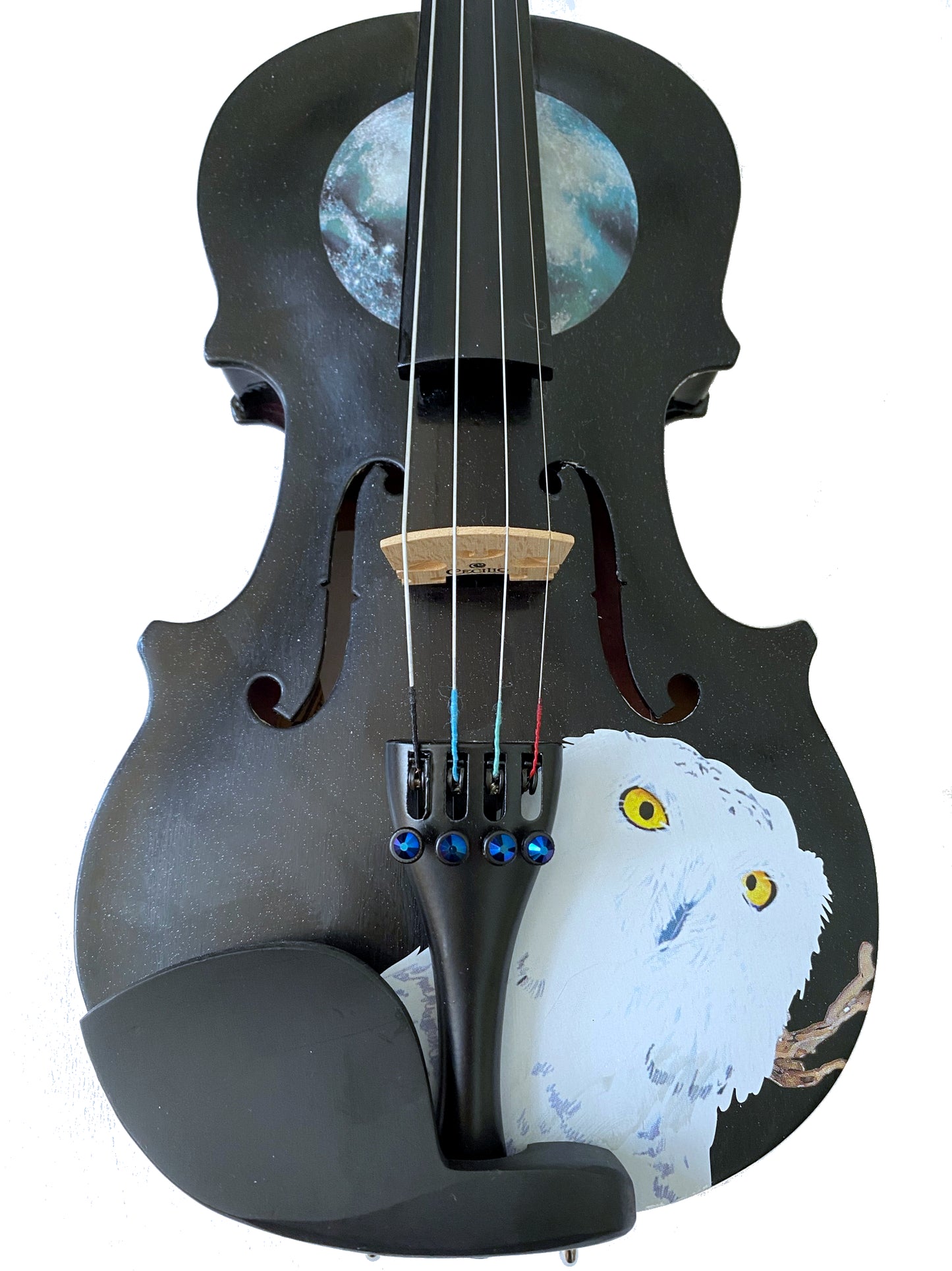 Rozanna's Mystic Owl Midnight Black Glitter Violin - Rozanna's Violins