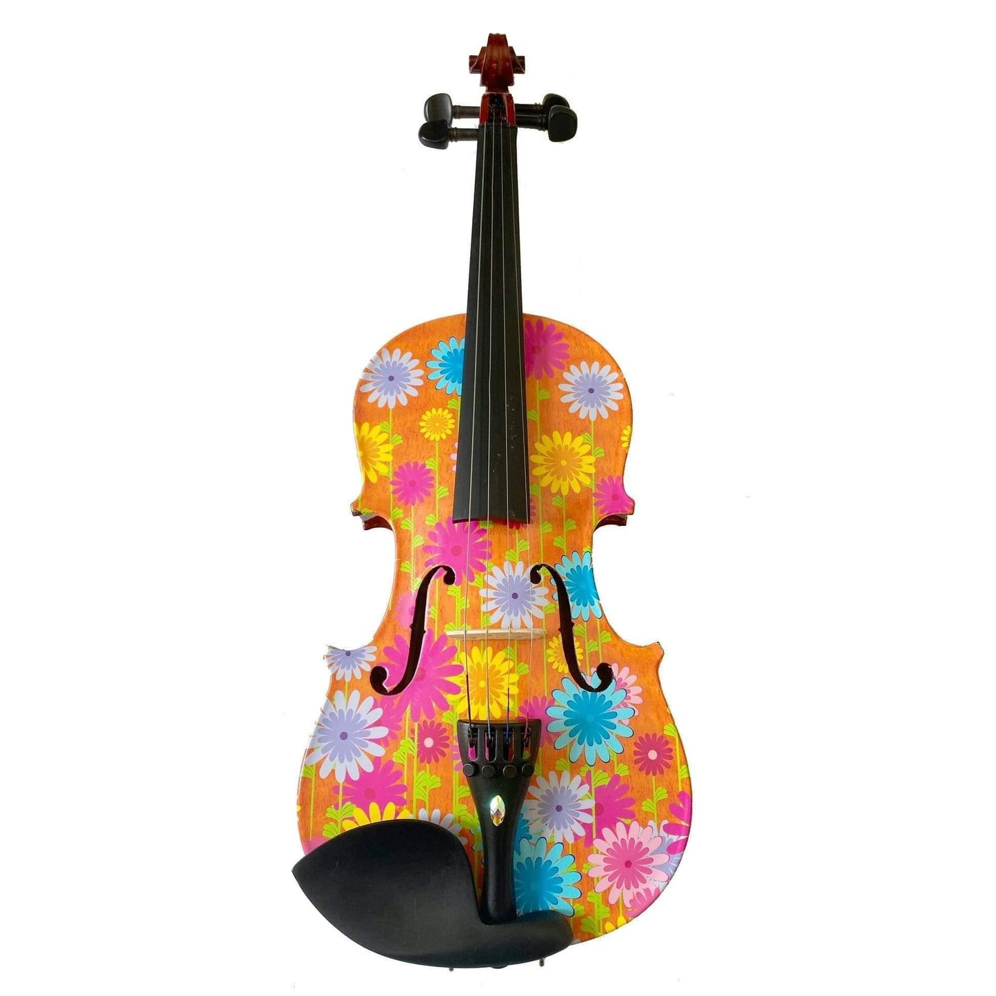 Rozanna's Violins Flower Power Violin Outfit, 3/4