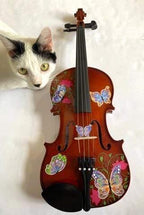 rozanna-s-violins-rozanna-s-butterfly-dream-viola-outfit-28234644095065 - Rozanna's Violins