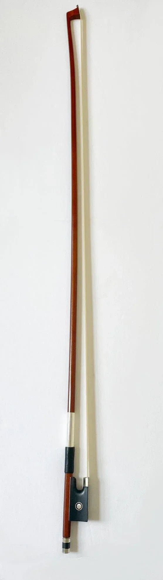 Rozanna's Lion Spirit Golden Eyes Violin Outfit - Rozanna's Violins