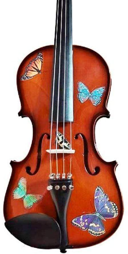 Rozanna's Violins 4/4 Rozanna's Violins Butterfly Dream Violin Outfit