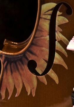Sunflower Signature Violin Outfit | Upgraded Tonewoods & Pearl Fine Tuners - Rozanna's Violins